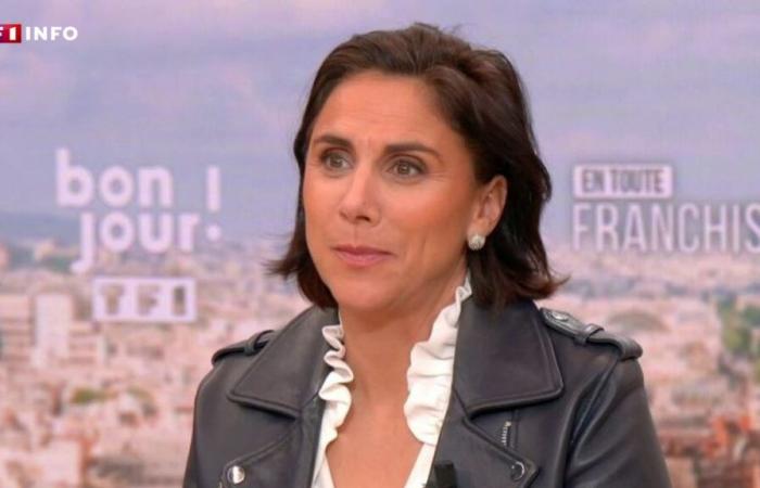 “Ce n’est pas le casting qui compte mais le scénario”, affirme Laure Lavalette (RN) sur TF1.