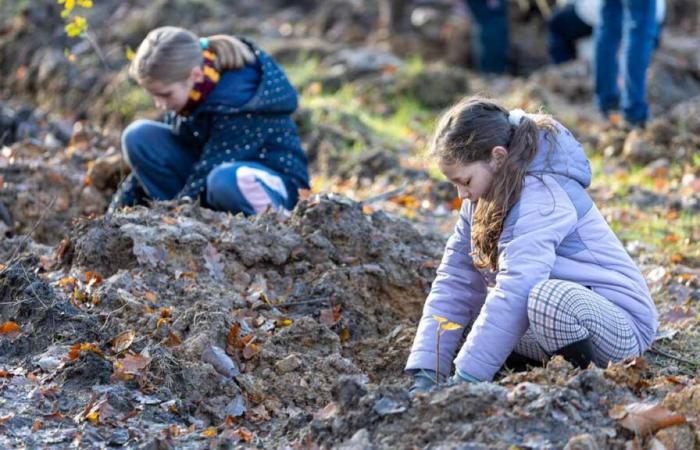 des enfants pour reboiser la forêt de Meudon