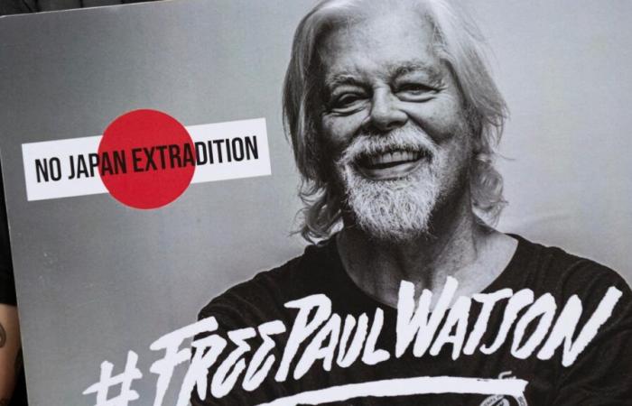 Paul Watson ne sera pas extradé par le Danemark, le fondateur de Sea Shepherd bientôt libéré