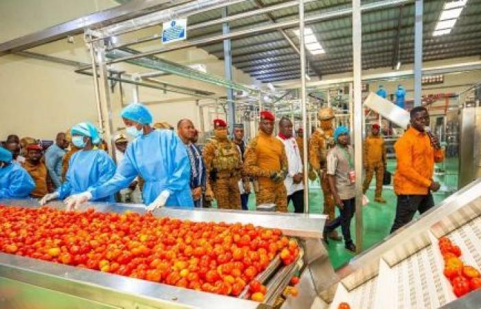 une unité de transformation de tomates de 9 millions de dollars lancée à Yako