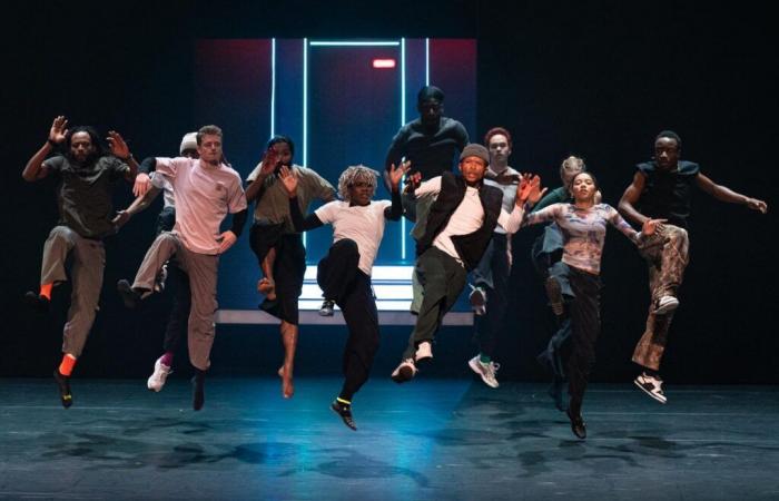 « Dub », l’hommage aux danses urbaines d’Amala Dianor