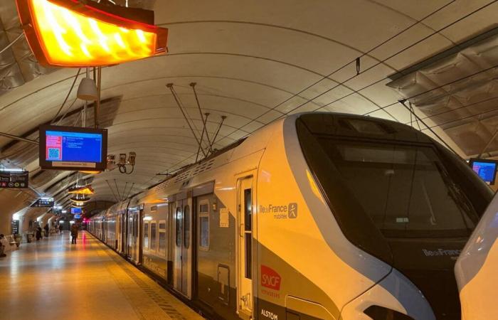 tout juste prolongé jusqu’à Nanterre, le RER E connaît une première matinée chaotique