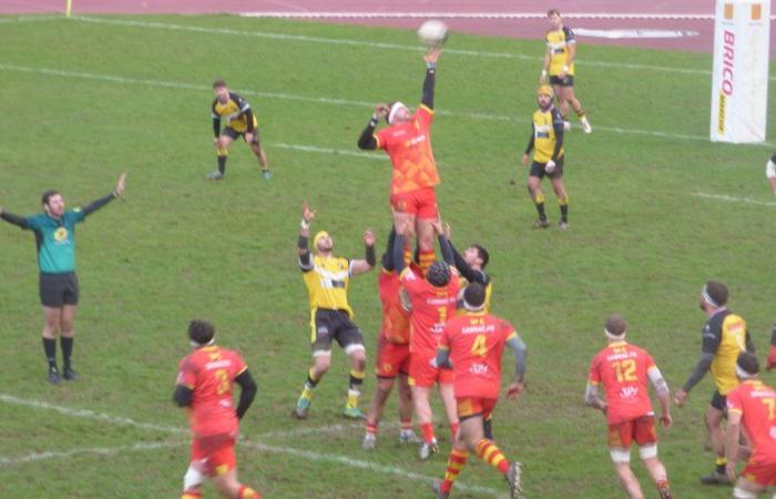 Foix. Rugby : les équipes seniors gagnent