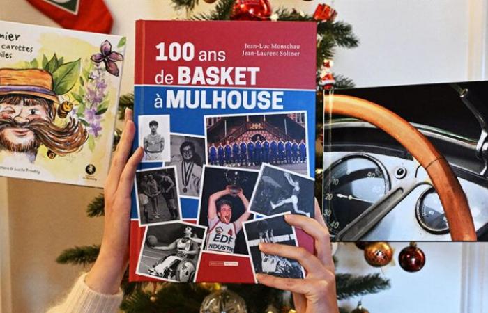 Des livres 100% Mulhouse à déposer sous le sapin – M+