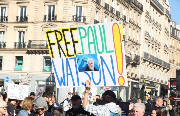 Un militant écologiste défendant les baleines est libéré de prison