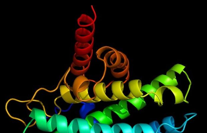 Les scientifiques découvrent une protéine clé qui aide les cellules cancéreuses à échapper à la thérapie cellulaire CAR T