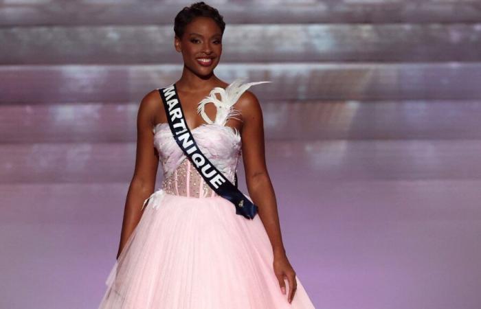 Miss France ne pourra pas participer à Miss Monde