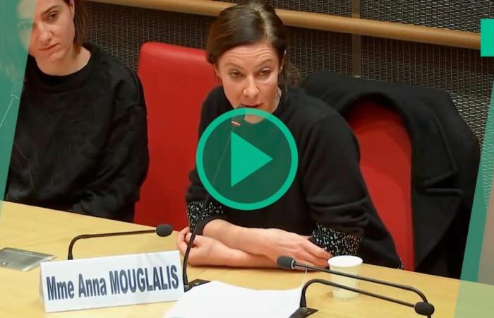 Anna Mouglalis dresse un état des lieux glaçant de la violence au cinéma, dès le casting