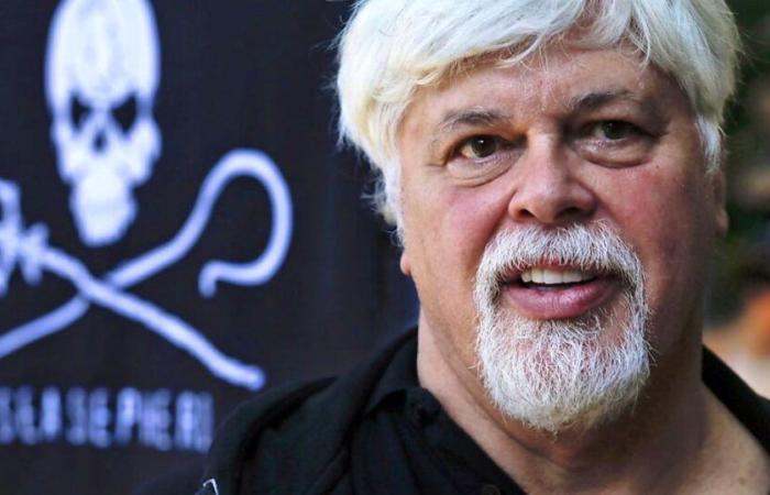 Le défenseur des baleines Paul Watson libéré