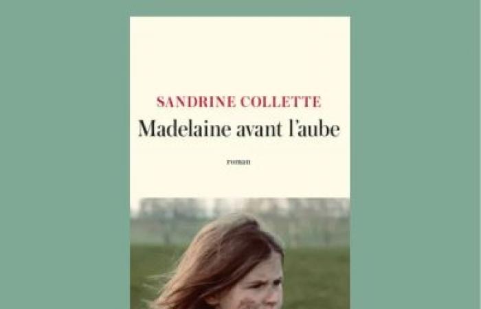 Le Prix Goncourt du Prisonnier 2024 est décerné à Sandrine Collette pour elle (…)