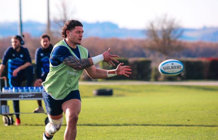 Un Néo-Zélandais arrive à Castres avec effet immédiat !