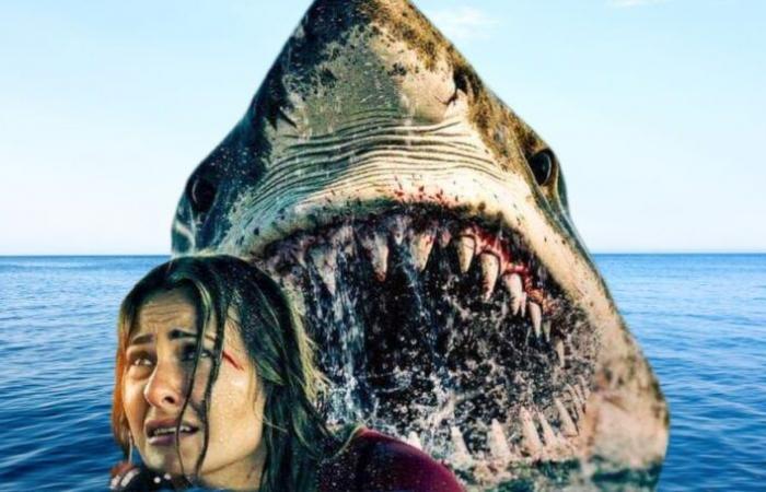 Un trailer plein de requins et de gros canons pour le retour de cet acteur de Jaws