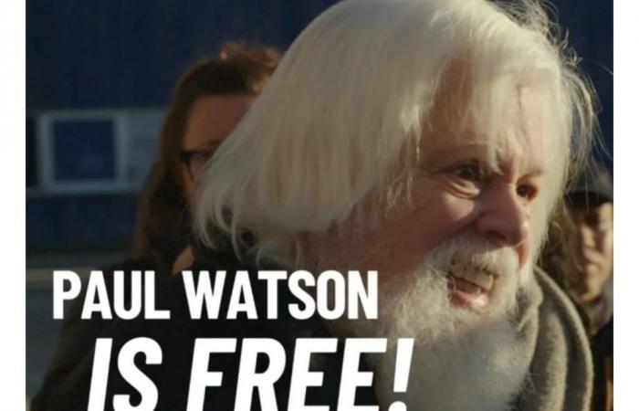 Paul Watson est libre ! Le Danemark refuse l’extradition d’un défenseur des baleines vers le Japon