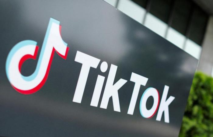 TikTok demande à la Cour suprême américaine de suspendre la loi exigeant sa vente par sa société mère chinoise