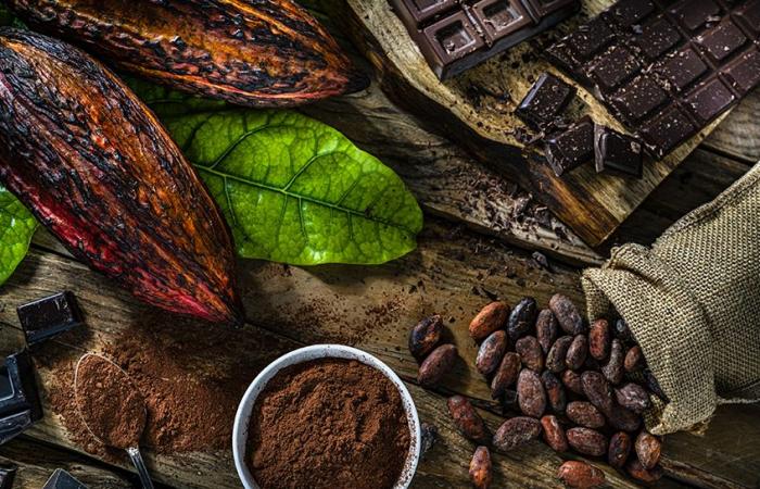 Les prix du cacao augmentent de 50 % avant les vacances