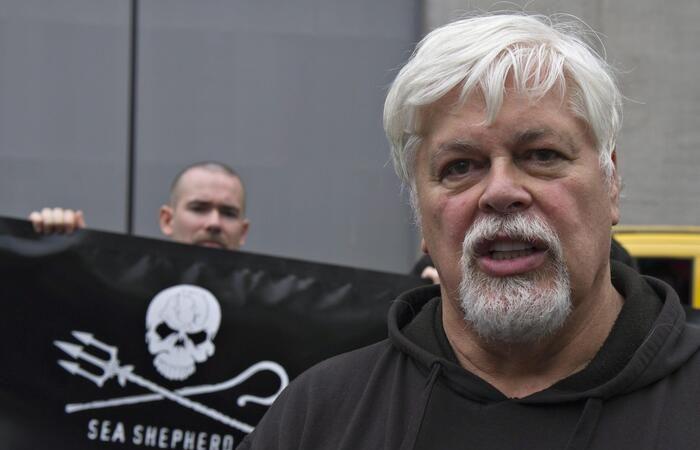 Le Danemark libère le militant des baleines Paul Watson – Actualités