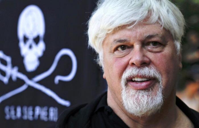 Le Danemark a libéré le militant anti-chasse à la baleine Paul Watson et ne l’extradera pas vers le Japon