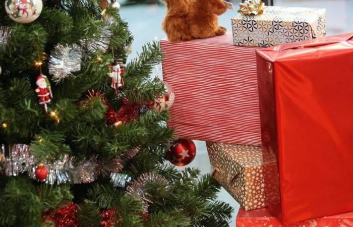 Etes-vous éligible à la prime de Noël versée ce mardi ?