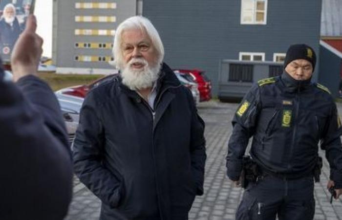 Le défenseur des baleines Paul Watson, détenu au Danemark, a été libéré, annonce son association Sea Shepherd