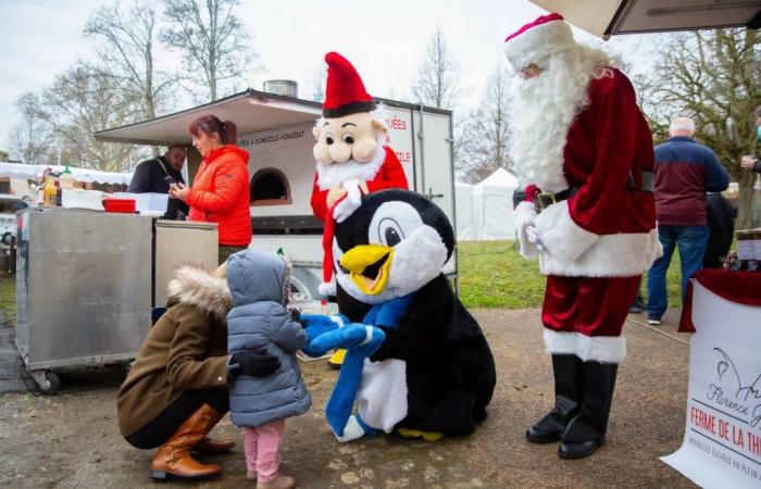 Informations sur la tournée | Vacances de Noël : nos idées de sorties en famille en Touraine