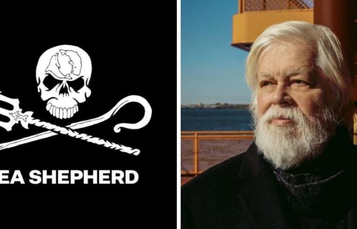 Paul Watson est libre et ne sera pas extradé vers le Japon