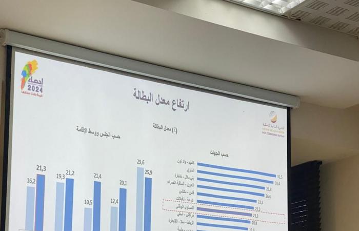 Recensement – ​​Le taux de chômage au Maroc s’élèvera à 21,3% en 2024, contre 16,2% il y a 10 ans (Chakib Benmoussa) – Article19.ma