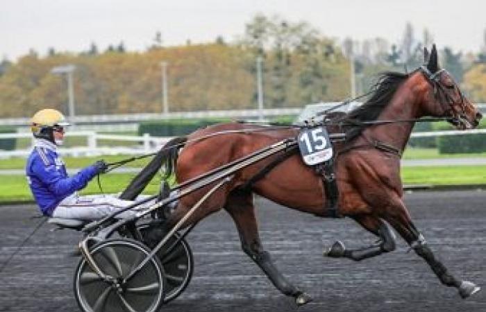 La prochaine course San Engine aura lieu directement en Amérique – Trot