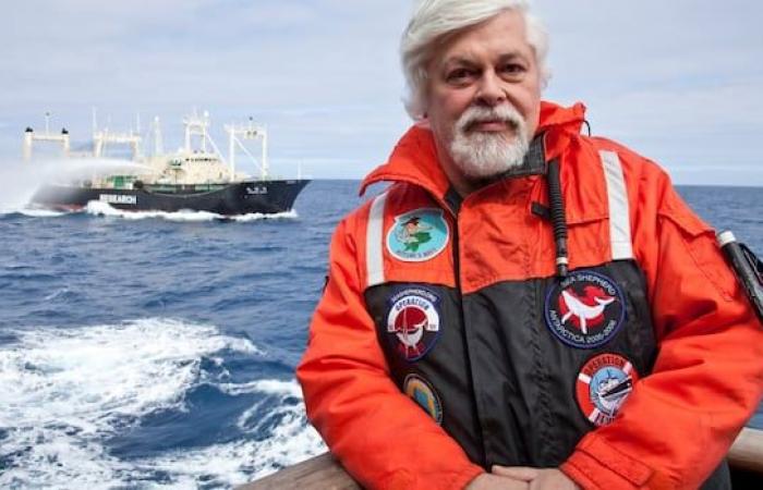 Le militant canadien anti-chasse à la baleine, Paul Watson, ne sera pas extradé pour répondre aux accusations japonaises