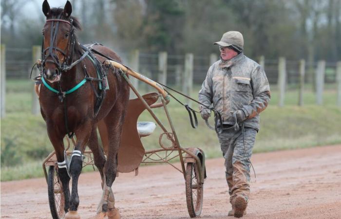 Hirondelle et Ina du Rib ont bien travaillé