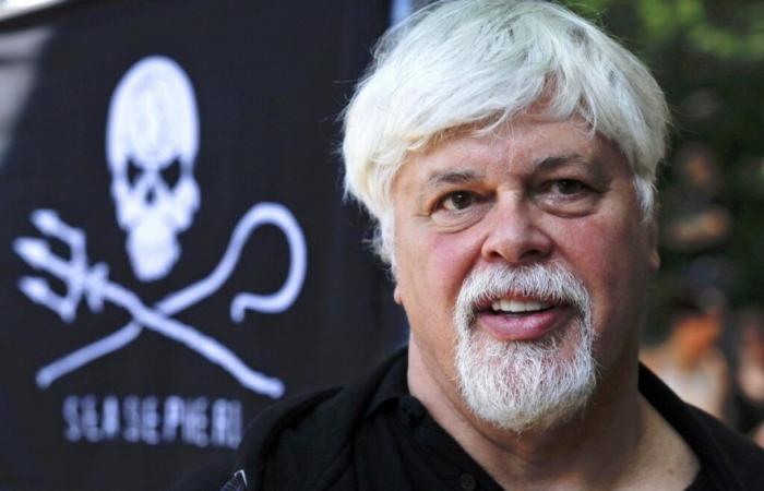 Le militant anti-chasse à la baleine libéré, Paul Watson, ne sera pas extradé par le Danemark vers le Japon – avocat