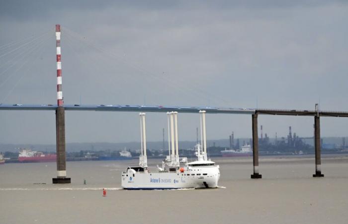 Centrale Nantes ouvrira une formation continue en ingénierie de propulsion à voile