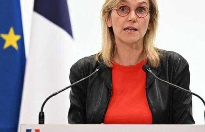 La France s’oppose à un nouvel objectif sur les énergies renouvelables