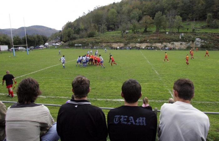 VIDÉO. Lors d’un match de rugby amateur, un joueur a été frappé d’une drôle de manière par… un cerf !