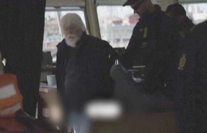 Paul Watson libéré. “Je m’étais préparé au pire”, le fondateur de Sea Shepherd va rentrer en France “au plus vite”