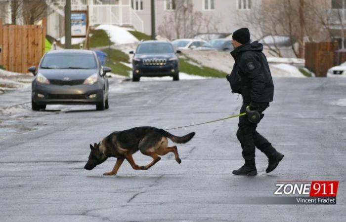 Femme victime d’un meurtre au Québec