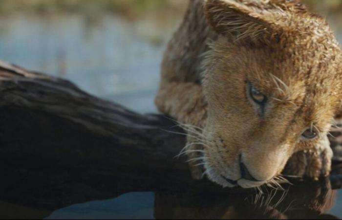 Le Roi Lion”, le retour de la légende bientôt en salles