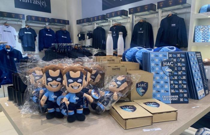 au Havre, voici le magasin idéal pour faire plaisir aux fans du HAC