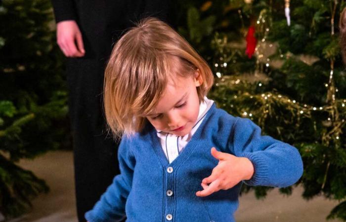 Les 8 petits-enfants de la reine Silvia se sont réunis pour décorer les sapins de Noël avec leur grand-mère