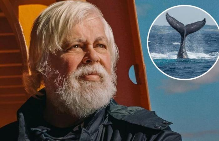 Paul Watson a échappé à l’extradition alors que le Danemark refuse la demande du Japon