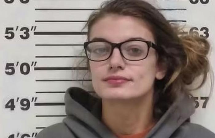 Aux États-Unis, une méchante baby-sitter échappe à la peine de mort