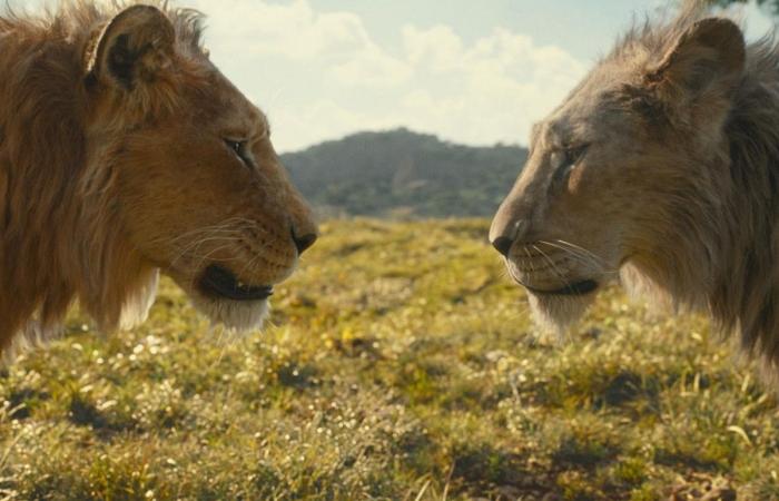 Mufasa : Le Roi Lion, doubleurs et personnages : qui fait quoi dans le film Mufasa : Le Roi Lion