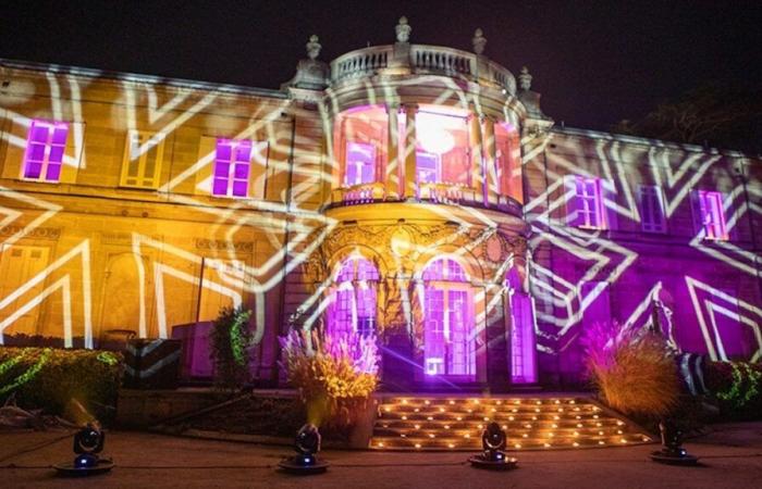 Une mini-fête des lumières comme à Lyon illumine Talence pour Noël