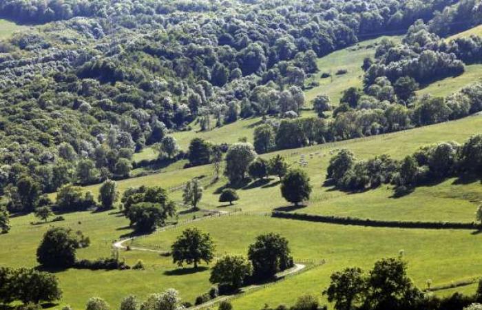 Aménagement du territoire agricole et forestier en Côte-d’Or