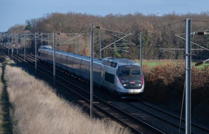 Le train bat des records de fréquentation malgré le prix et une ponctualité dégradée, selon un rapport