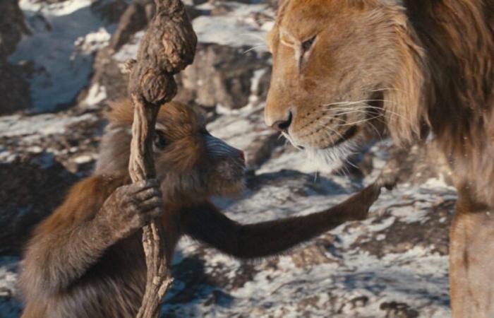 La préquelle du Roi Lion ressemble à une imitation de DTV Disney