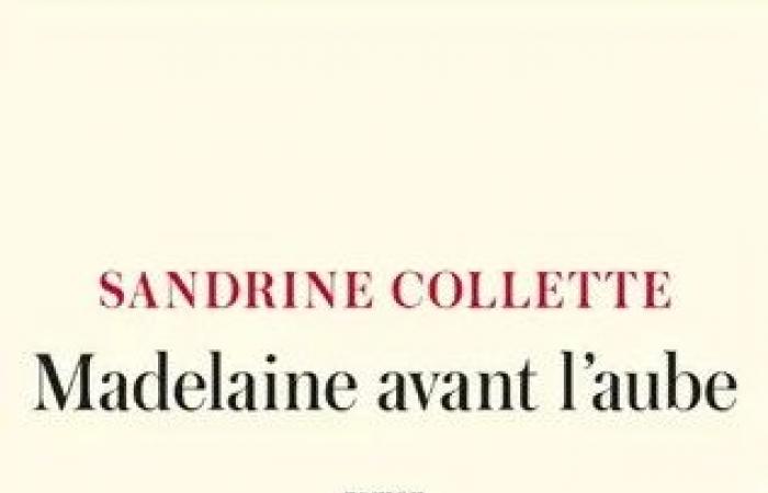 Le prix Goncourt des détenus 2024 décerné à Sandrine Collette pour son roman « Madelaine avant l’aube »