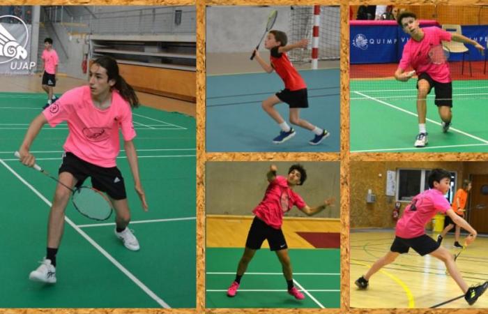 la relève assure – quimper – le badminton