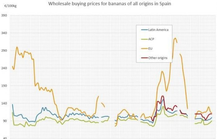 Les prix de la banane en Europe augmenteront jusqu’à 12 euros le kilogramme en décembre 2024