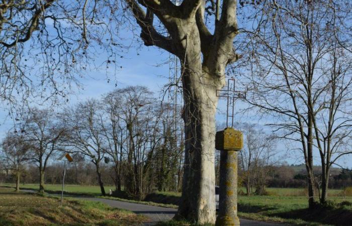 Verniolle. Croix et arbres, deux sujets pour les Amis des Arts