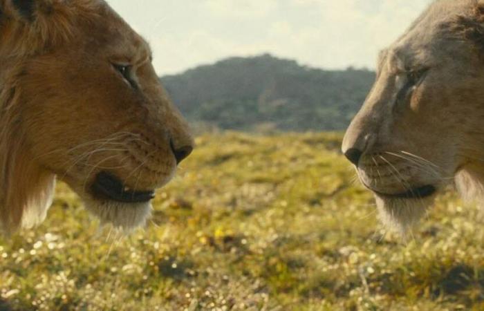 que vaut ce nouveau volet du « Roi Lion » en images de synthèse ?